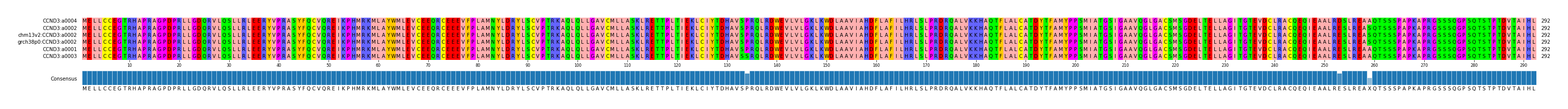 Multiple Alignments (by translate haplotype similarity)