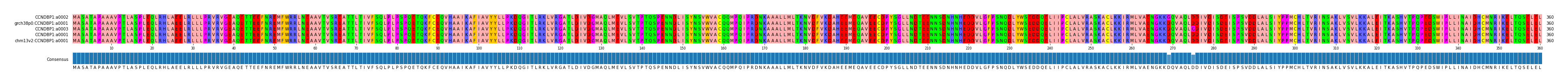 Multiple Alignments (by translate haplotype similarity)