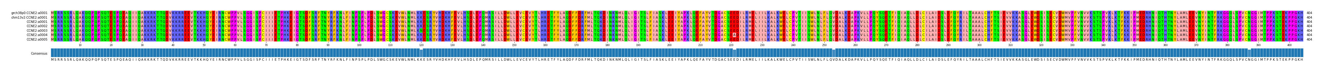 Multiple Alignments (by translate haplotype frequency)