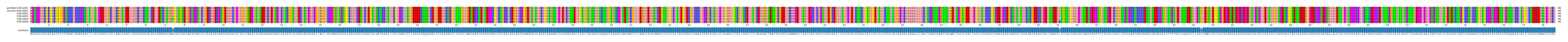 Multiple Alignments (by translate haplotype frequency)