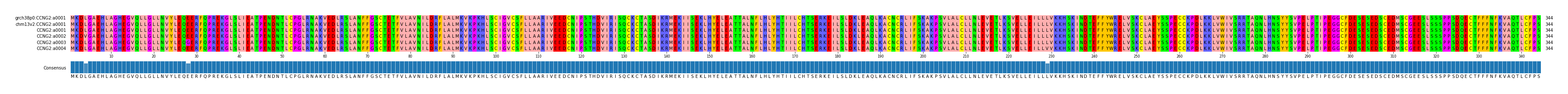 Multiple Alignments (by translate haplotype frequency)
