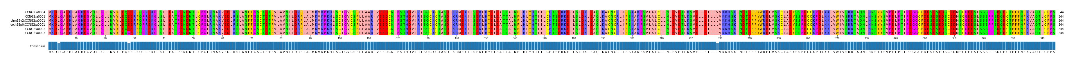 Multiple Alignments (by translate haplotype similarity)