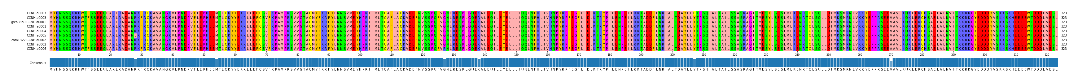 Multiple Alignments (by translate haplotype similarity)
