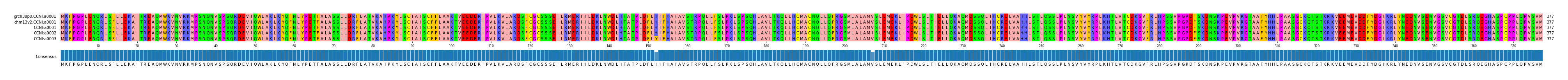 Multiple Alignments (by translate haplotype frequency)