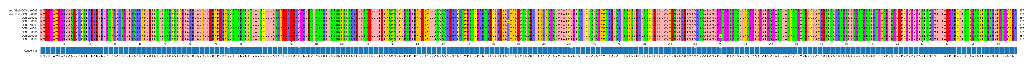 Multiple Alignments (by translate haplotype frequency)