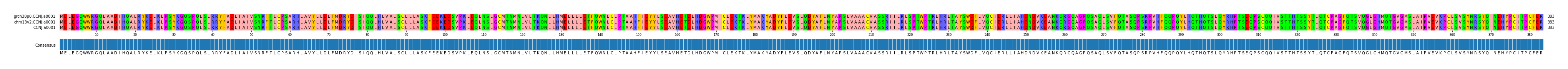 Multiple Alignments (by translate haplotype similarity)