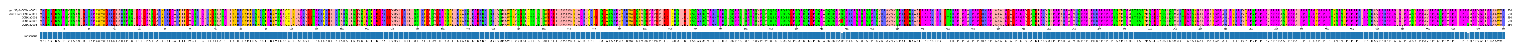 Multiple Alignments (by translate haplotype frequency)