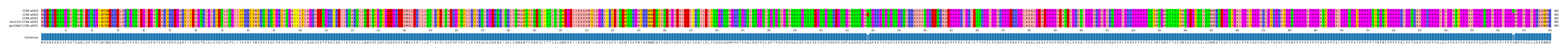 Multiple Alignments (by translate haplotype similarity)