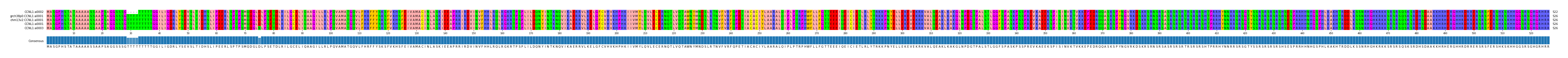 Multiple Alignments (by translate haplotype similarity)