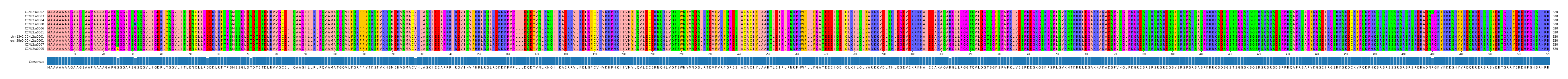 Multiple Alignments (by translate haplotype similarity)