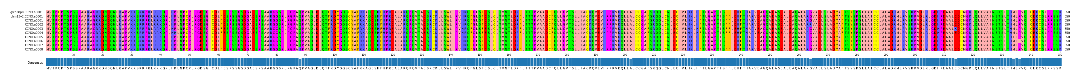 Multiple Alignments (by translate haplotype frequency)