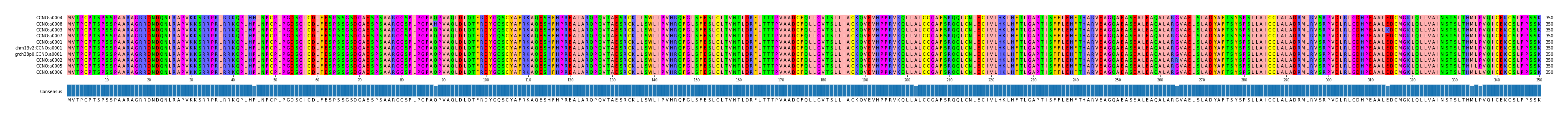 Multiple Alignments (by translate haplotype similarity)