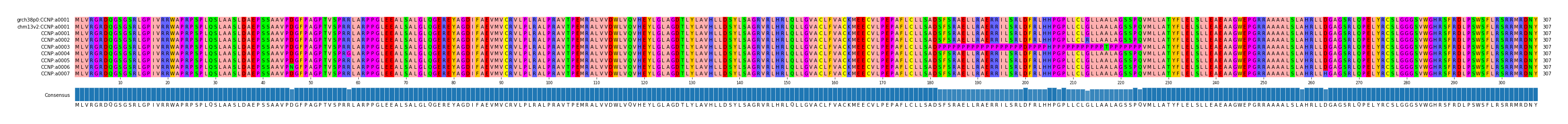 Multiple Alignments (by translate haplotype frequency)
