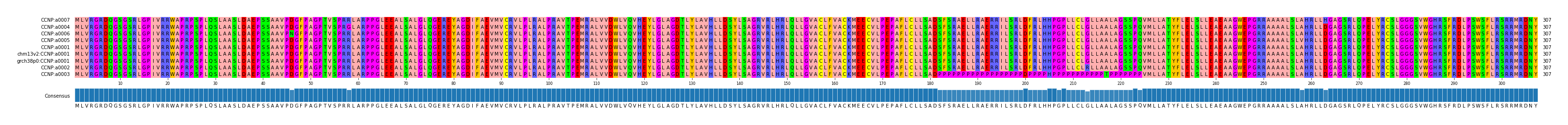 Multiple Alignments (by translate haplotype similarity)