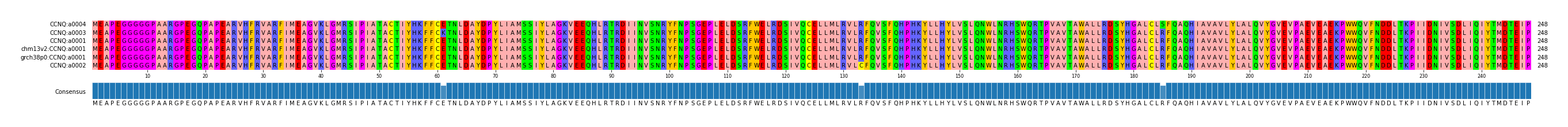 Multiple Alignments (by translate haplotype similarity)