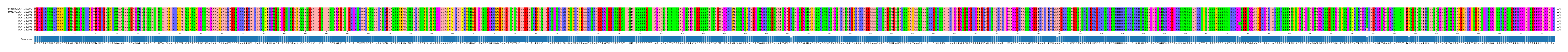 Multiple Alignments (by translate haplotype frequency)