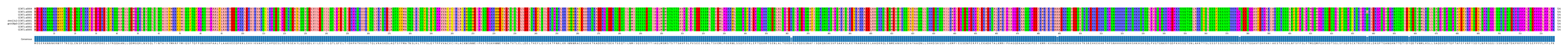 Multiple Alignments (by translate haplotype similarity)