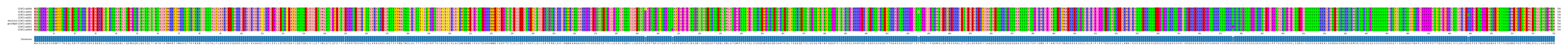 Multiple Alignments (by translate haplotype similarity)