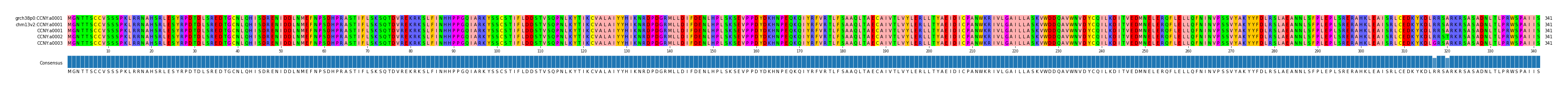 Multiple Alignments (by translate haplotype frequency)