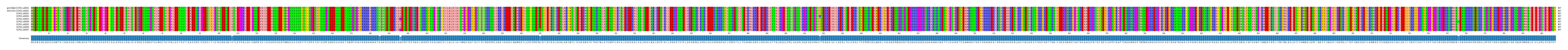 Multiple Alignments (by translate haplotype frequency)