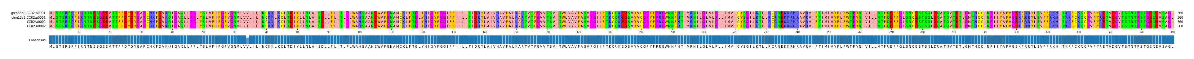 Multiple Alignments (by translate haplotype similarity)