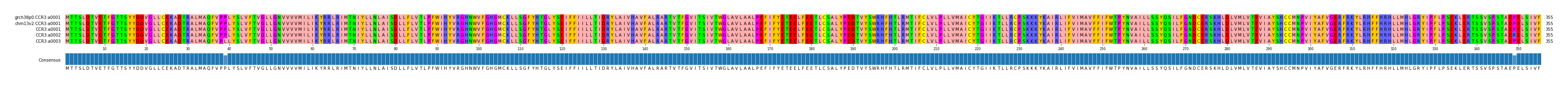 Multiple Alignments (by translate haplotype frequency)