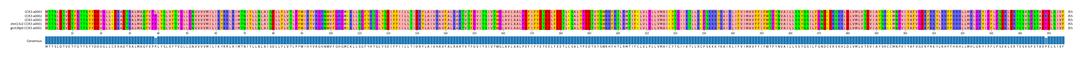 Multiple Alignments (by translate haplotype similarity)
