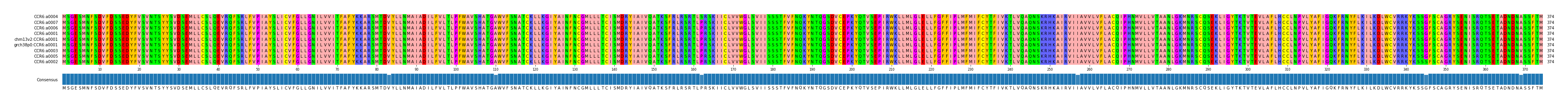 Multiple Alignments (by translate haplotype similarity)