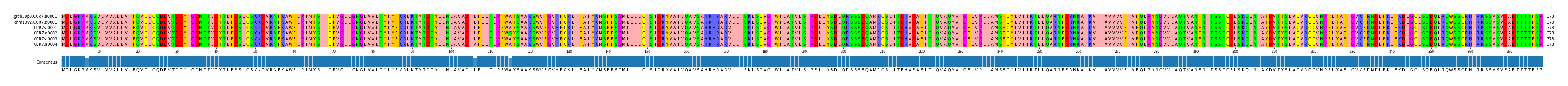 Multiple Alignments (by translate haplotype frequency)