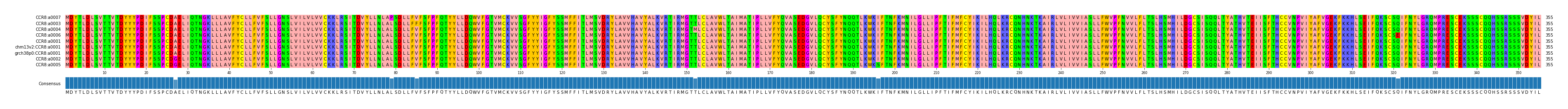 Multiple Alignments (by translate haplotype similarity)