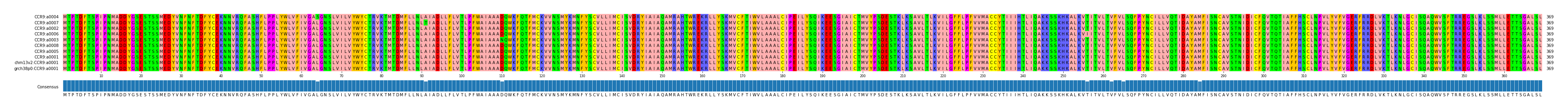 Multiple Alignments (by translate haplotype similarity)