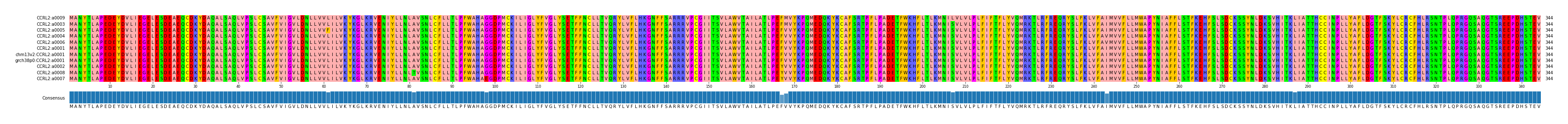 Multiple Alignments (by translate haplotype similarity)