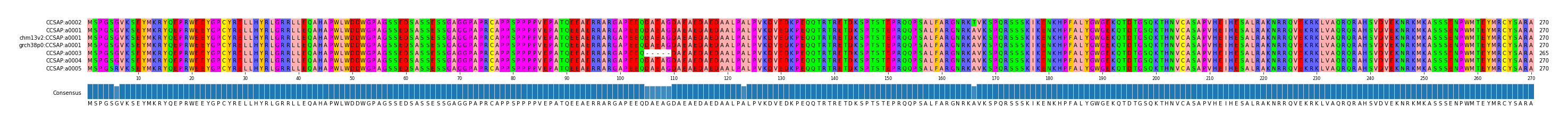 Multiple Alignments (by translate haplotype similarity)