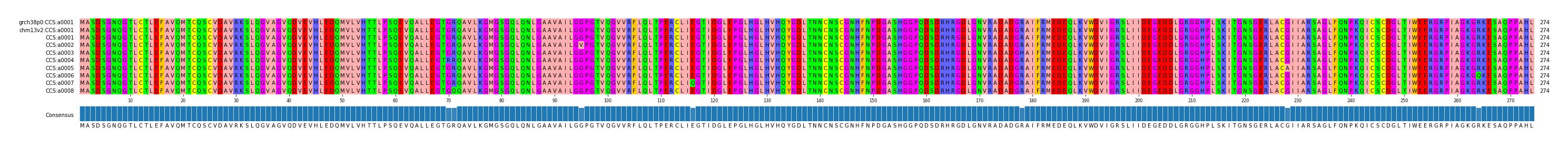 Multiple Alignments (by translate haplotype frequency)