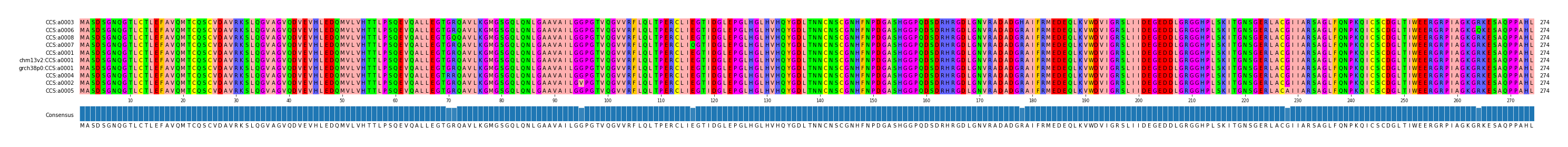 Multiple Alignments (by translate haplotype similarity)