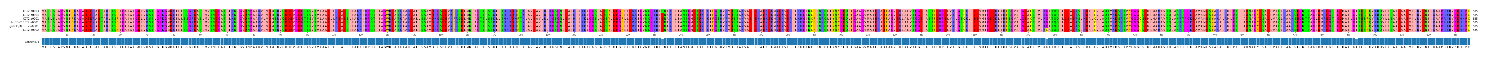 Multiple Alignments (by translate haplotype similarity)