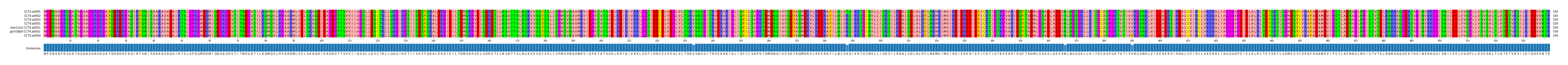 Multiple Alignments (by translate haplotype similarity)