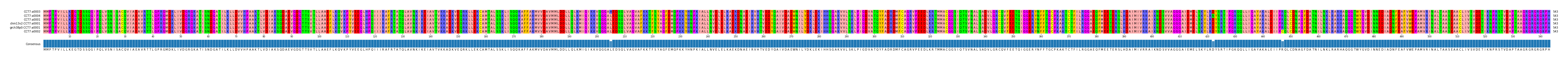Multiple Alignments (by translate haplotype similarity)