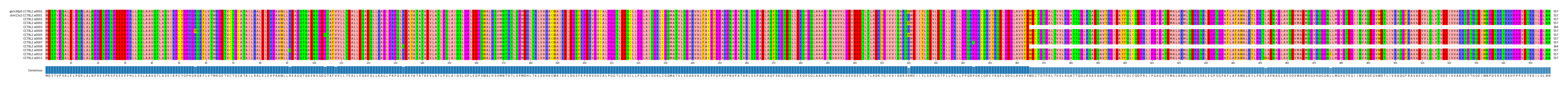 Multiple Alignments (by translate haplotype frequency)