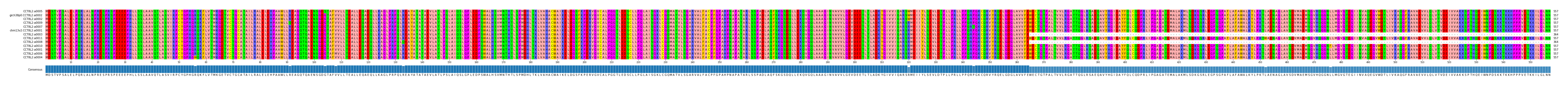 Multiple Alignments (by translate haplotype similarity)