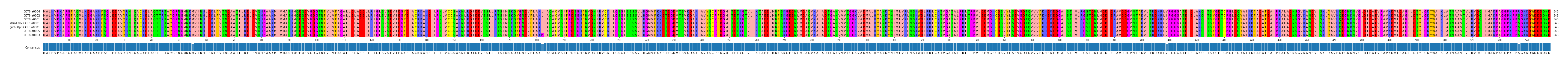 Multiple Alignments (by translate haplotype similarity)