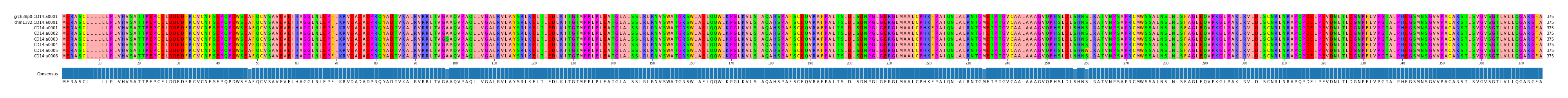 Multiple Alignments (by translate haplotype frequency)