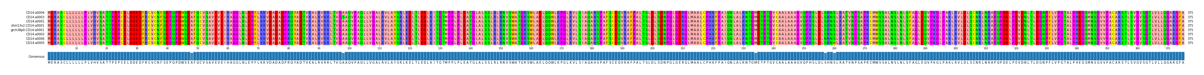 Multiple Alignments (by translate haplotype similarity)