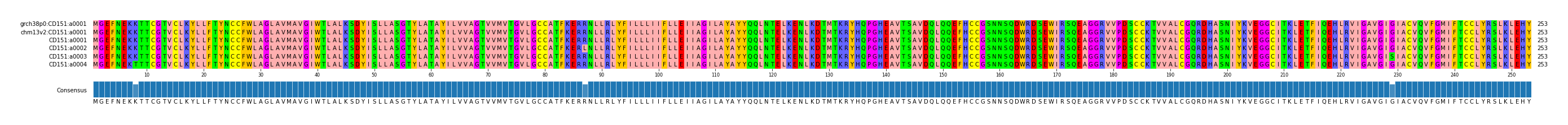 Multiple Alignments (by translate haplotype frequency)