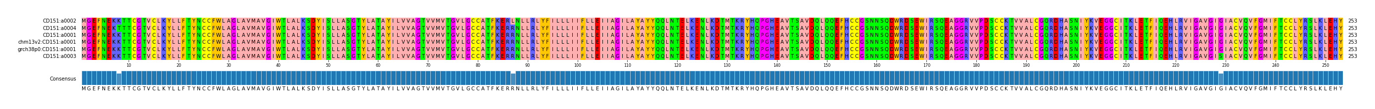 Multiple Alignments (by translate haplotype similarity)