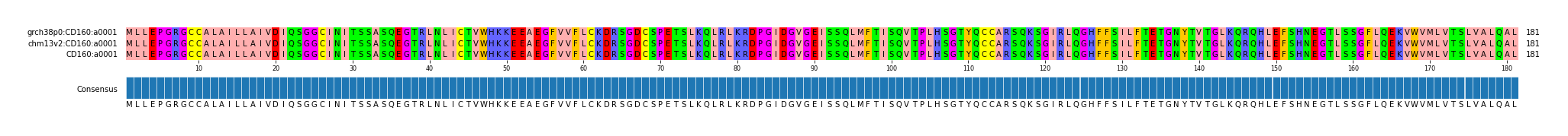 Multiple Alignments (by translate haplotype similarity)