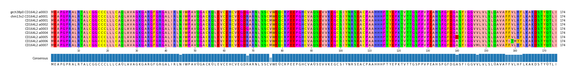 Multiple Alignments (by translate haplotype frequency)