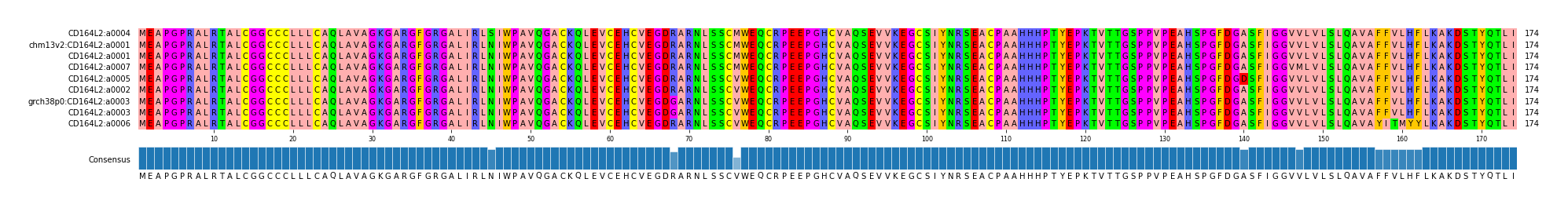 Multiple Alignments (by translate haplotype similarity)