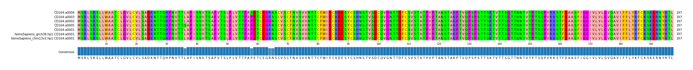 Multiple Alignments (by translate haplotype similarity)
