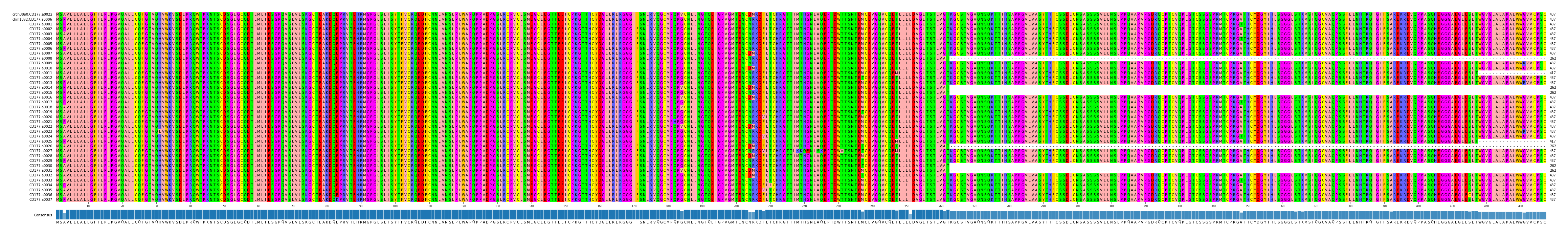 Multiple Alignments (by translate haplotype frequency)